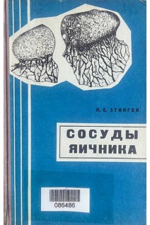 Сосуды яичника (БУ). Этинген Л.Е.