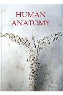 Human Anatomy: textbook (Анатомія людини: підручник) (БУ). Cherkasov VG. (Черкасов В.Г.)
