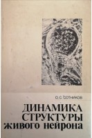 Динамика структуры живого нейрона (БУ). Сотников О.С.