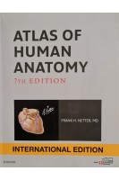 Atlas of Human Anatomy 7th Edition international edition. Frank H. Netter