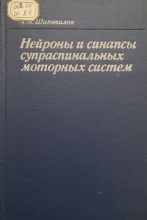 Нейроны и синапсы супраспинальных моторных систем (БУ). Шаповалов А.И.