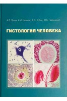 Гистология человека. Луцик А.Д. Иванова А.И. Кабак К.С. и др.