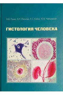 Гистология человека. Луцик А.Д. Иванова А.И. Кабак К.С. и др.