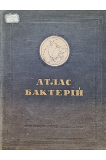 Атлас бактерій (75 таблиць) (БУ). Рождественський В.С. Васильєв А.П.