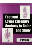 Foot and Lower Extremity Anatomy to Color and Study. Ray Poritsky PhD