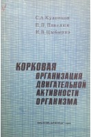 Корковая организация двигательной активности организма (БУ). Кузнецова С.А. Павалюк П.П. Цыбырнэ И.В.