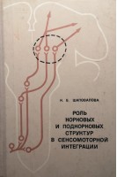 Роль корковых и подкорковых структур в сенсомоторной интеграции (БУ). Шаповалова К.Б.