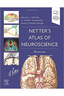 Netters Atlas of Neuroscience (Netter Basic Science) 4th Edition. David L. Felten Michael K O’Banion Mary E Maida