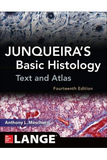 Junqueiras Basic Histology: Text and Atlas 14th Edition (БУ). Anthony L. Mescher