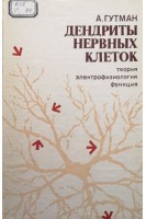 Дендриты нервных клеток (БУ). Гутман А.