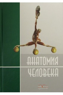 Анатомия человека.  Учебное пособие (перевод с украинского языка). Черкасов В.Г. Кравчук С.Ю.