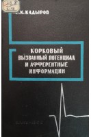 Корковый вызванный потенциал и афферентные информации (БУ). Кадыров Г.К.