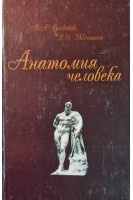 Анатомия человека. Учебное пособие для фармацевтических вузов. Волковой В.А. та ін.
