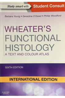 Wheaters Functional Histology. A Text and Colour Atlas. Sixth International Edition (БУ). Barbara Young Geraldine O’Dowd Phillip Woodford