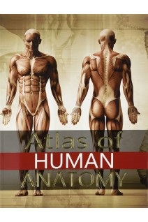 Atlas of Human Anatomy (БУ). Jordi Vigue
