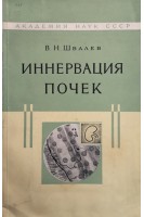 Иннервация почек (БУ). Швалев В.Н.