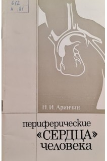 Периферические сердца человека (БУ). Аринчин Н.И.