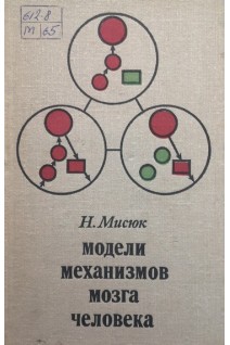 Модели механизмов мозга человека (БУ). Мисюк Н.С.