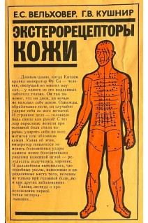 Экстерорецепторы кожи (БУ). Вельховер Е.С. Кушнир Г.В.