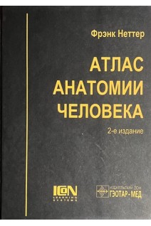 Атлас анатомии человека. 2-е издание. Кольорова копія (БУ). Неттер Ф.