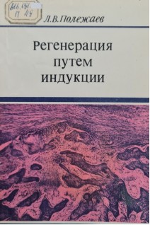 Регенерация путем индукции (БУ). Полежаев Л.В.